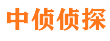 铁力侦探公司